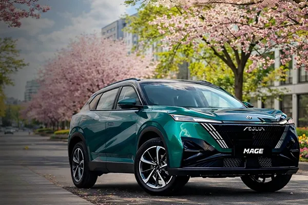 DONGFENG МЕЙДЖ